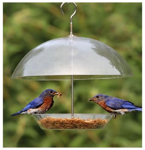 kingfisher clear covered dome bird seed feeder for small kingfisher clear covered dome bird seed feeder for small